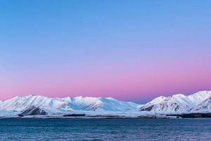 Christchurch : Aoraki/Mt Cook Day Trip with Trotts Garden