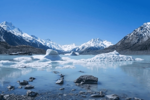 Christchurch : Aoraki/Mt Cook Day Trip with Trotts Garden