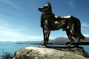 Christchurch : Aoraki/Mt Cook Day Trip with Trotts Garden