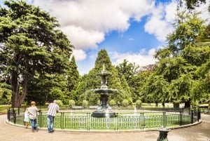 Christchurch Architectural Marvels: Private Walking Tour