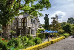 Christchurch Architectural Marvels: Private Walking Tour