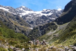 Christchurch: tour privado al Paso de Arthur y Castle Hill