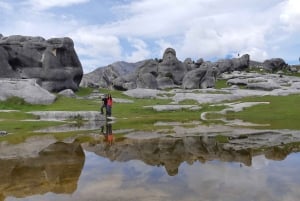 Visita a Christchurch: Excursão panorâmica de um dia a Arthur's Pass e Castle Hill