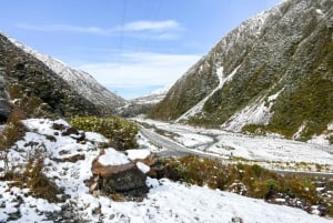 From Christchurch: Arthur's Pass Guided Day Trip with Lunch