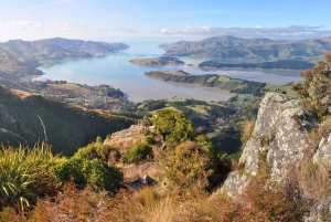 Christchurch: CHC Airport to Downtown|Hotel Private Transfer