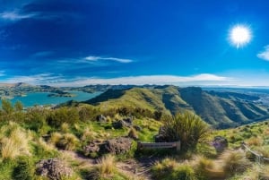 Christchurch City Highlights Half Day Tour