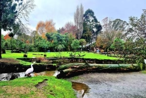 Christchurch City Highlights Half Day Tour