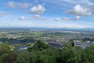 Christchurch City Highlights Half Day Tour