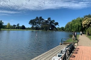 Christchurch City Highlights Half Day Tour