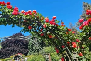 Christchurch City Highlights Half Day Tour