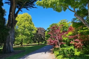 Christchurch City Highlights Half Day Tour