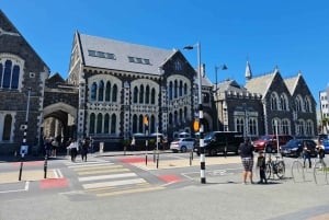 Christchurch City Highlights Half Day Tour