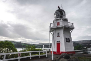 Christchurch City & Jetbåds-eventyr fra Akaroa