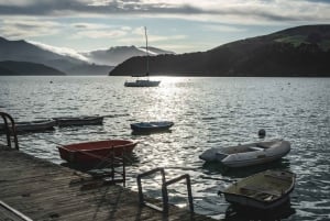 Christchurch City & Jetbåds-eventyr fra Akaroa