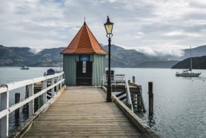 Christchurch City & Jetbåds-eventyr fra Akaroa
