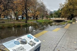 Christchurch City Top Spots Private Half Day Tour