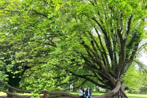 Christchurch City Top Spots Wycieczka półdniowa (wycieczka w małej grupie)