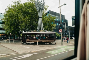 Christchurch City Top Spots Wycieczka półdniowa (wycieczka w małej grupie)