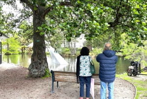 Christchurch City Top Spots Wycieczka półdniowa (wycieczka w małej grupie)