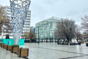 Christchurch City Top Spots Wycieczka półdniowa (wycieczka w małej grupie)