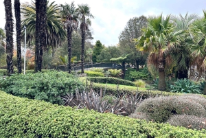 Christchurch City Top Spots Wycieczka półdniowa (wycieczka w małej grupie)