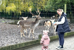 Christchurch City Top Spots Wycieczka półdniowa (wycieczka w małej grupie)