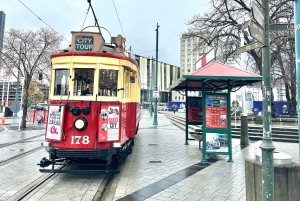 Christchurch City Top Spots Wycieczka półdniowa (wycieczka w małej grupie)