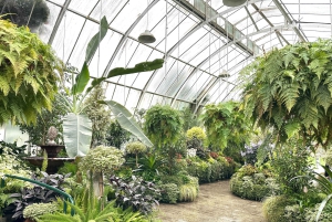 Christchurch City Top Spots Wycieczka półdniowa (wycieczka w małej grupie)