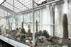 Christchurch City Top Spots Wycieczka półdniowa (wycieczka w małej grupie)