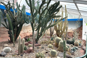 Christchurch City Top Spots Wycieczka półdniowa (wycieczka w małej grupie)