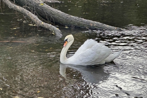 Christchurch City Top Spots Wycieczka półdniowa (wycieczka w małej grupie)