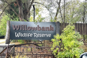 Christchurch City Top Spots Wycieczka półdniowa (wycieczka w małej grupie)