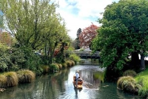 Christchurch City Top Spots Private Half Day Tour