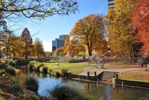 Christchurch City Top Spots Private Half Day Tour