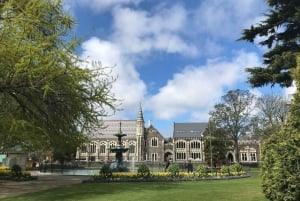 Christchurch City Top Spots Private Half Day Tour