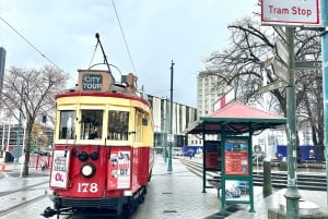 Christchurch City Top Spots Private Half Day Tour