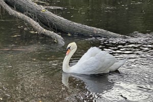 Christchurch City Top Spots Private Half Day Tour