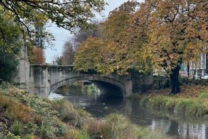 Christchurch City Top Spots Private Half Day Tour