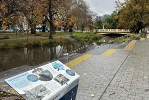 Christchurch City Top Spots Private Half Day Tour