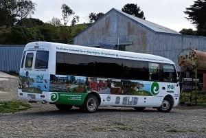 Christchurch: Exclusive Sheep Farm Tour with Lunch &Winery