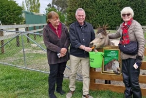 Christchurch: Exclusive Sheep Farm Tour with Lunch &Winery