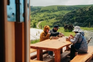 Christchurch: Exclusive Sheep Farm Tour with Lunch &Winery