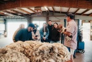 Christchurch: Exclusive Sheep Farm Tour with Lunch &Winery