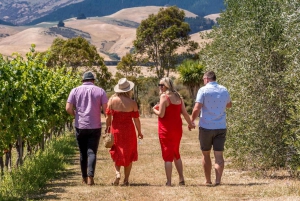 From Christchurch: Full-Day Wine Tour with Lunch