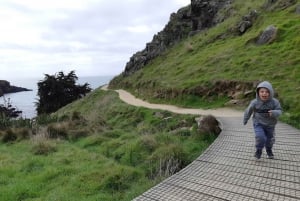 Christchurch: Godley Head & Lyttelton Guided Walking Tour
