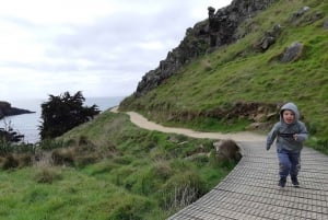 Christchurch: Godley Head & Lyttelton Guided Walking Tour