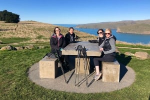 Christchurch: Guidet vandring langs kraterkanten med kystnære landskaber