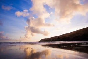 Christchurch: Guidet vandring langs kraterkanten med kystnære landskaber