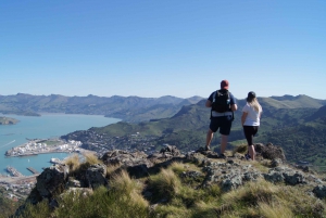 Christchurch: Guided Crater Rim Walk with Picnic