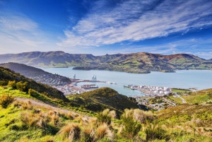 Christchurch: Guided Crater Rim Walk with Picnic